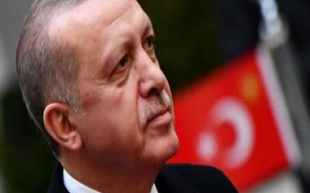 Turkish President Erdogan announces Russian President Putin's visit to Turkey in August