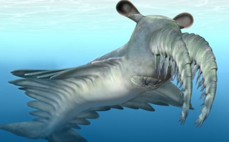 This ancient, Lovecraftian apex predator chased and pierced soft prey
