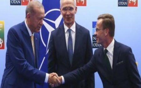 Sweden to join NATO: How did Turkey agree and what does the expansion mean?