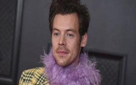 Harry Styles hit in the eye during Vienna concert, fans disappointed