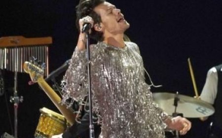 Harry Styles is the latest victim of stage attacks: Why are fans throwing things at performers?