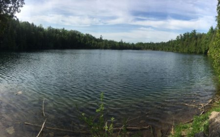 Canada’s Crawford Lake could mark the beginning of the Anthropocene