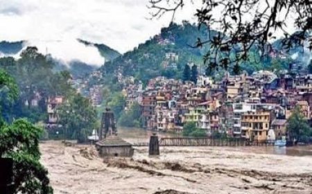 Himalayan tragedy in Himachal Pradesh: 80 dead, loss of Rs 3,000-4,000 crore