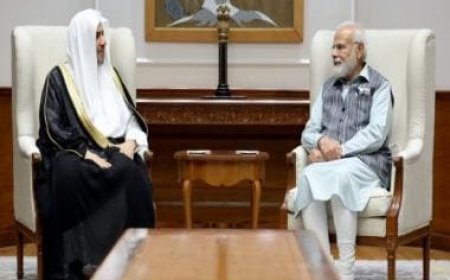 Haven't seen peaceful coexistence like India, says Muslim World League chief