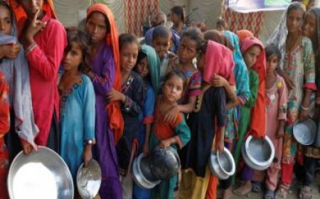 More people can't afford nutritious food; 148 million children are stunted by hunger, UN says