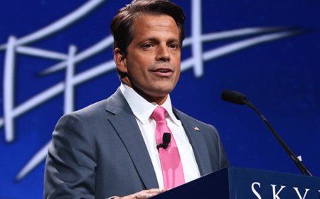 Scaramucci on What's Next After 'Probably the Worst Year in My Investment Career'