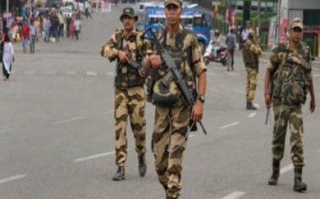 Three J&amp;K govt employees sacked for actively working with Pakistan-based terror outfits