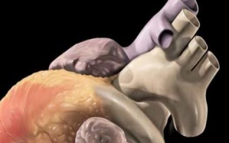 Why heart diseases in adolescents cannot be ignored