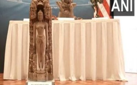 WATCH: US holds repatriation ceremony for handover of 105 trafficked antiquities to India
