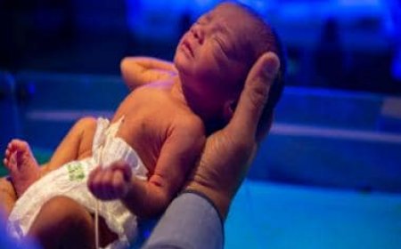 Without men, women and sex: Scientists one step away from making human babies from a single cell