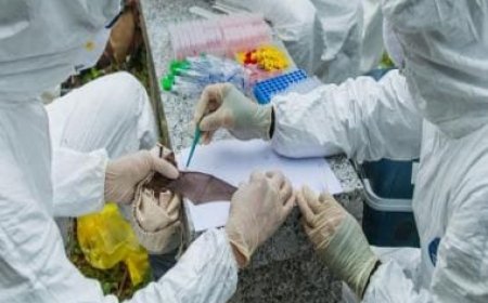 US cuts off funding to Wuhan institute over stonewalling COVID probe: Report