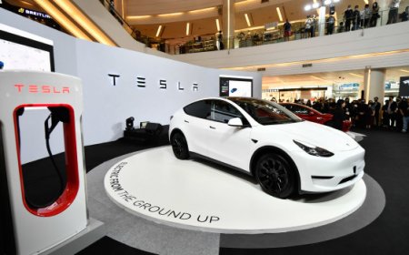 Tesla Just Rolled Out a Big New Update its Customers Will Love