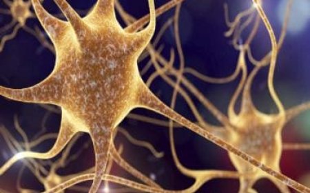 Unholy Union: Scientists are now trying to power AI using human brain cells