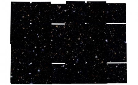 The James Webb telescope may have spotted stars powered by dark matter