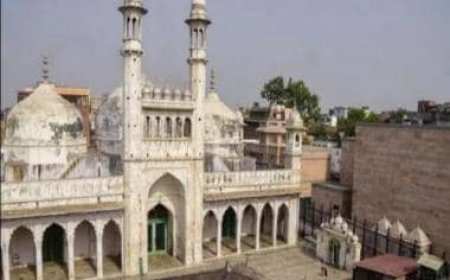 Gyanvapi mosque management moves high court over ASI survey