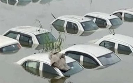 Watch: 300 cars submerged in Noida as Hindon river overflows