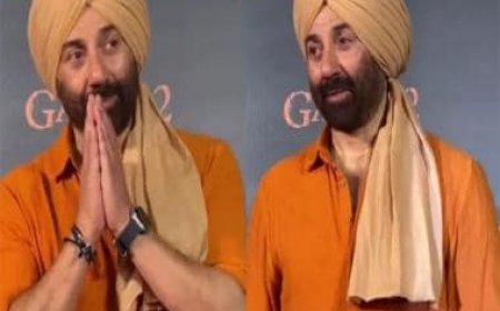 Sunny Deol: 'It's the political blame game that creates hatred between India and Pakistan'