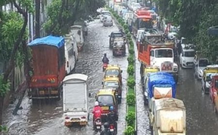Wet Friday for Mumbai: IMD issues red alert, 13 NDRF teams deployed