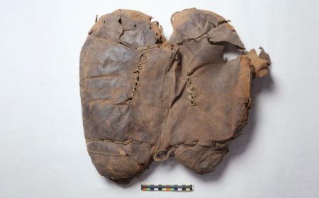 The oldest known horseback riding saddle was found in a grave in China