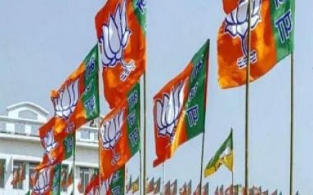 BJP rejig: Ahead of major polls JP Nadda drops few from team, adds some