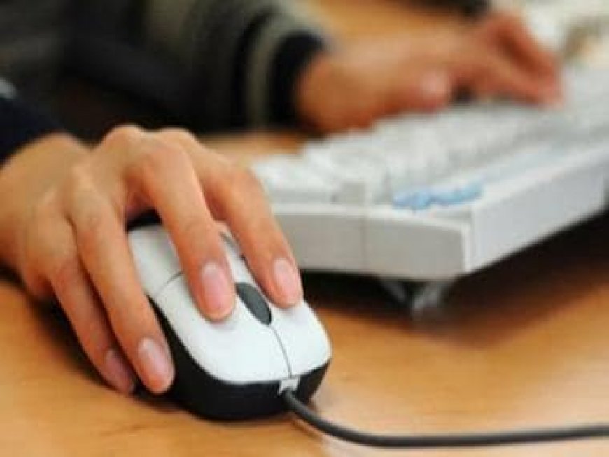 IBPS RRB Clerk Admit Card 2023 released at ibps.in, here's direct link to download