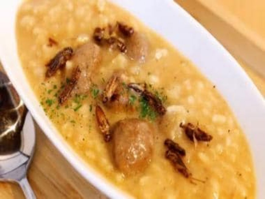 Silkworm sashimi, cricket curry on offer as bugs make stunning comeback in Japanese food