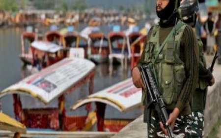 4 years of Article 370 abrogation: Has security situation improved in J&amp;K?