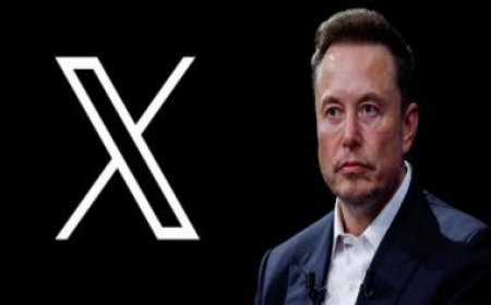 Elon Musk's X to fund legal bills of people 'unfairly treated' for posting on platform