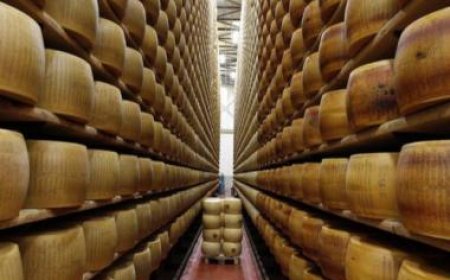 Death by Cheese: Italian man crushed by toppling cheese wheels in warehouse mishap