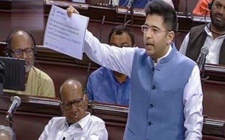 Delhi services bill: What’s the ‘forged signatures’ row involving Raghav Chadha?