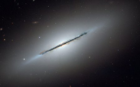 Spiral galaxies might have been lentil-shaped before becoming starry whirls