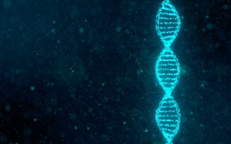 The ‘unknome’ catalogs nearly 2 million proteins. Many are mysterious