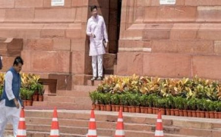 Raghav Chadha LIVE Updates: Challenge BJP to show papers with forged signatures, says AAP MP