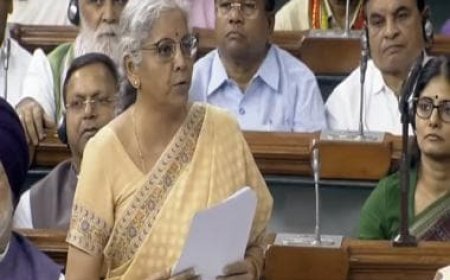 'DMK pulled Jayalalitha's saree in TN Assembly... talk about Draupadi': FM Sitharaman in no-trust vote debate