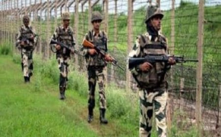 Pakistani intruder shot dead by BSF along Punjab border