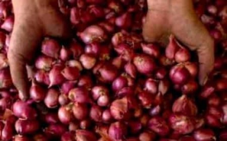 Centre starts releasing onions in key markets from buffer stock to rein in prices