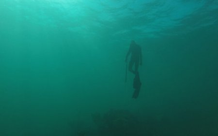 Nature’s changing colors makes climate change visible