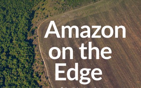 Readers react to a revamped insecticide and a chronic pain biomarker