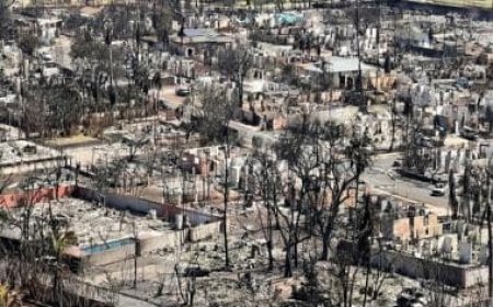 Hawaii wildfire: Death toll surge to 80 as survivors begin returning to communities in ruins