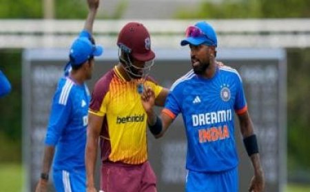 'Sometimes losing is good...one series doesn't matter': Hardik Pandya after India's T20I series defeat