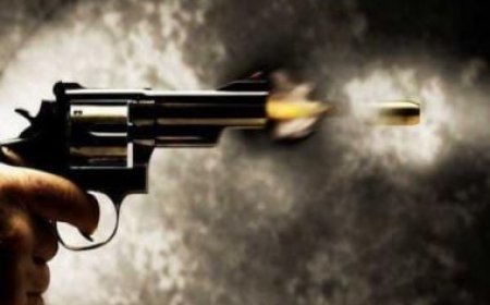 'Prabal': First Made-in-India side swing cylinder revolver to be launched on August 18