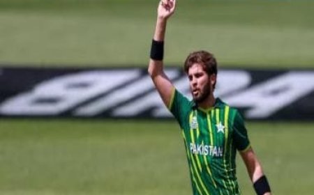 ILT20 franchise Desert Vipers sign Shaheen Shah Afridi for season 2