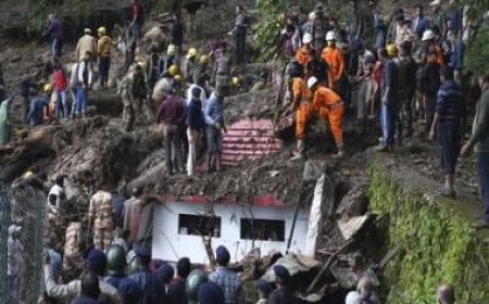 Over 60 dead in Himachal, Uttarakhand due to heavy rains, rescue operations underway
