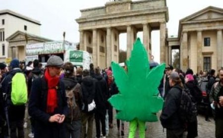 German cabinet clears landmark bill making cannabis use legal