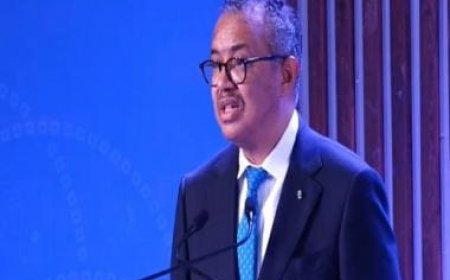 'India has rich history of traditional medicine',  says Tedros at WHO Traditional Medicine Global Summit in Gujarat