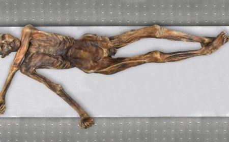 A new look at Ötzi the Iceman’s DNA reveals new ancestry and other surprises