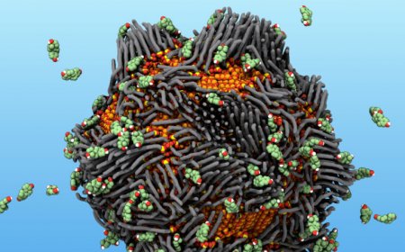 Magnetic ‘rusty’ nanoparticles pull estrogen out of water