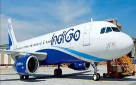 IndiGo pilot dies after collapsing at boarding gate just before departure