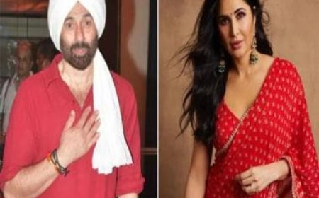 Did Sunny Deol take a dig at Katrina Kaif while talking about 'Apne 2'?