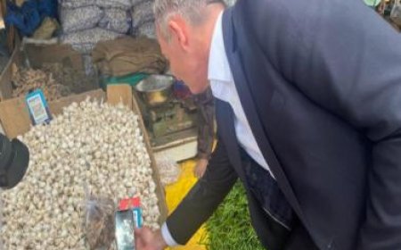 Simplicity and Impact: German minister "fascinated" after first-hand experience of India’s UPI payment model